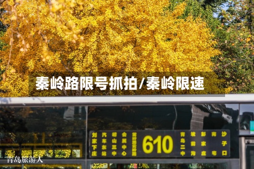 秦岭路限号抓拍/秦岭限速