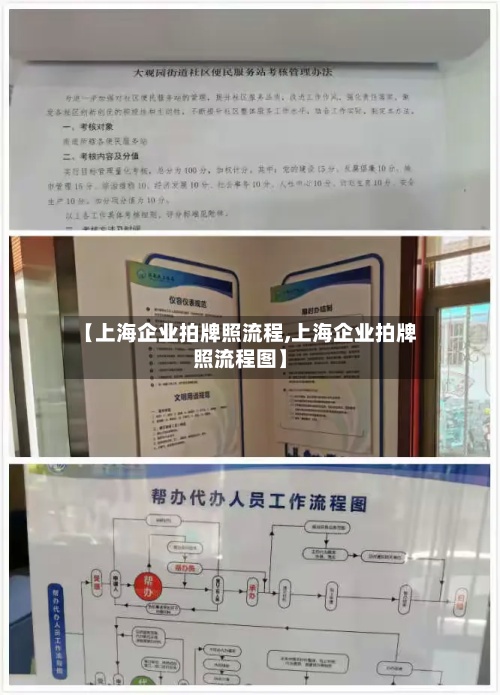 【上海企业拍牌照流程,上海企业拍牌照流程图】-第3张图片