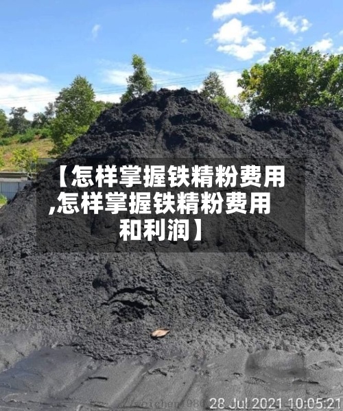 【怎样掌握铁精粉费用
,怎样掌握铁精粉费用
和利润】