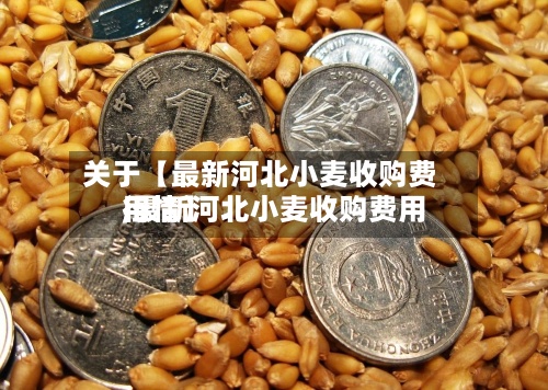 关于【最新河北小麦收购费用,最新河北小麦收购费用行情】-第2张图片