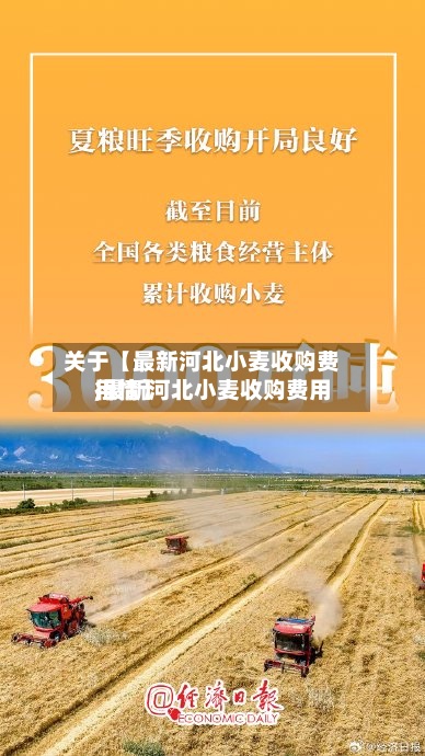关于【最新河北小麦收购费用,最新河北小麦收购费用行情】