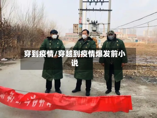穿到疫情/穿越到疫情爆发前小说-第2张图片