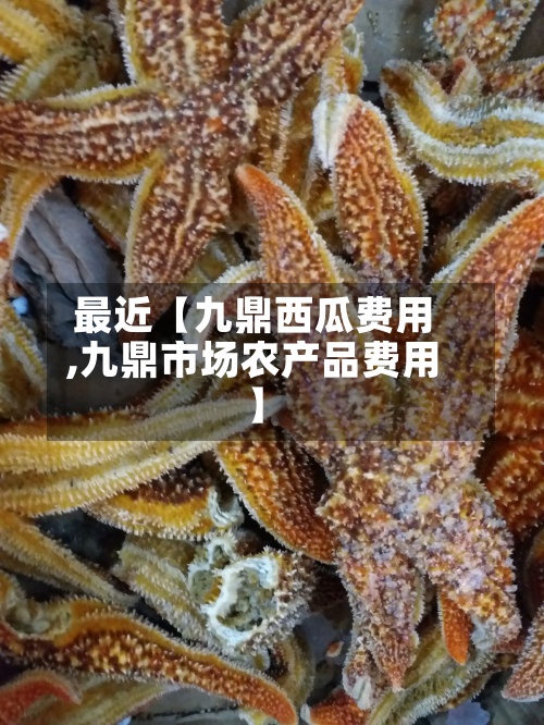 最近【九鼎西瓜费用
,九鼎市场农产品费用
】