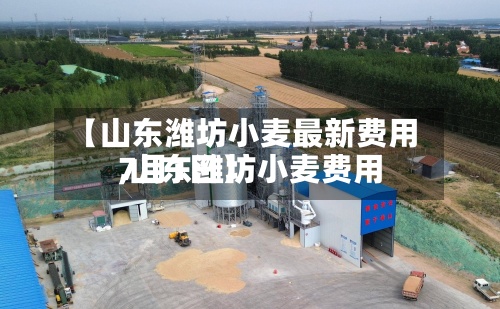 【山东潍坊小麦最新费用
,山东潍坊小麦费用
7月1日】-第2张图片