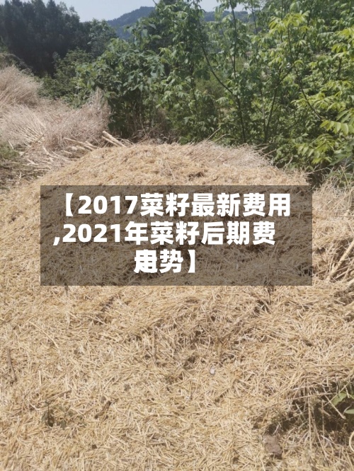 【2017菜籽最新费用
,2021年菜籽后期费用
走势】-第2张图片