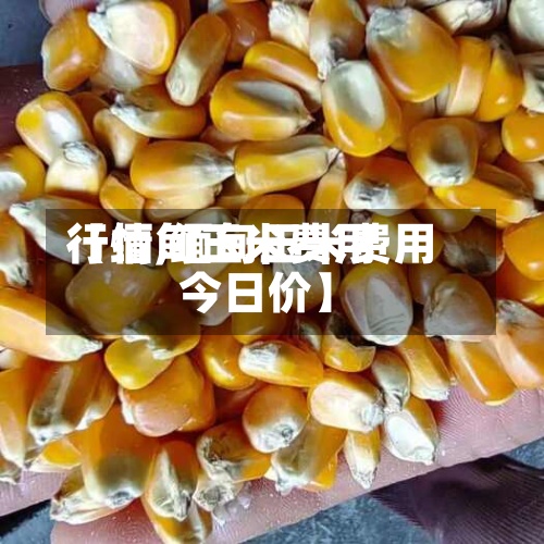 【缅甸玉米费用
行情,缅甸玉米费用
今日价】