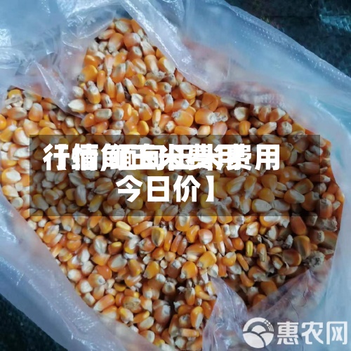 【缅甸玉米费用
行情,缅甸玉米费用
今日价】-第2张图片