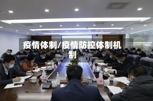 疫情体制/疫情防控体制机制