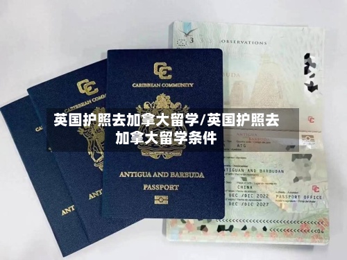 英国护照去加拿大留学/英国护照去加拿大留学条件-第3张图片