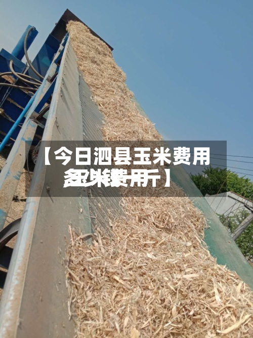 【今日泗县玉米费用,玉米费用多少钱一斤】-第2张图片
