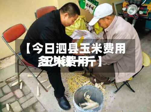 【今日泗县玉米费用,玉米费用多少钱一斤】-第3张图片