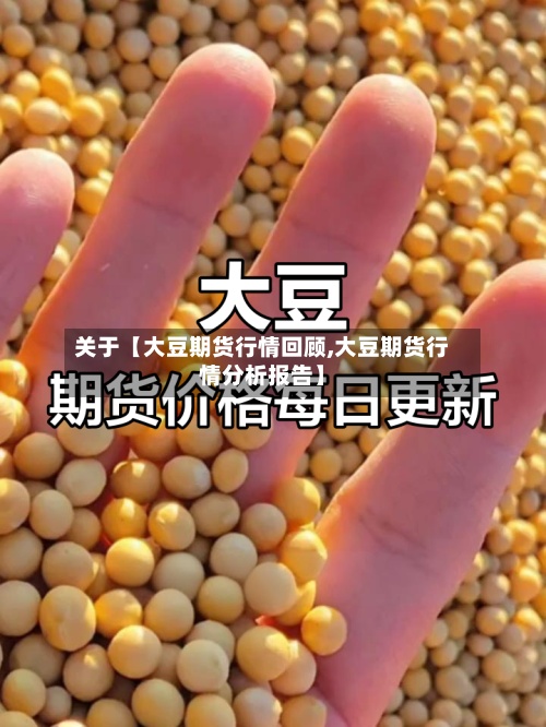 关于【大豆期货行情回顾,大豆期货行情分析报告】-第3张图片