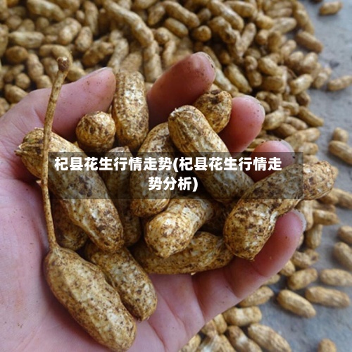 杞县花生行情走势(杞县花生行情走势分析)