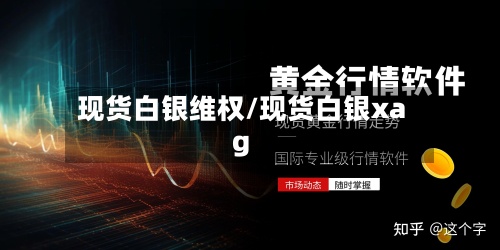 现货白银维权/现货白银xag-第2张图片