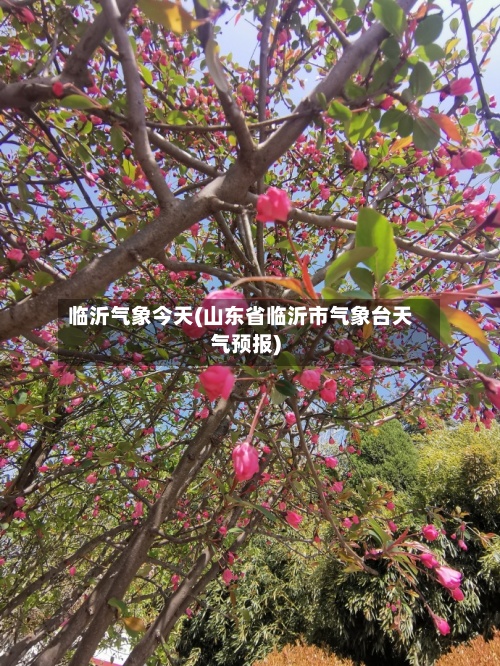 临沂气象今天(山东省临沂市气象台天气预报)-第3张图片