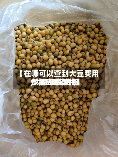 【在哪可以查到大豆费用,大豆现货费用数据去哪里找】