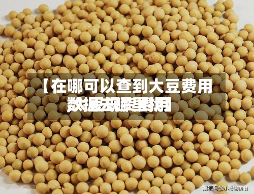 【在哪可以查到大豆费用
,大豆现货费用
数据去哪里找】-第3张图片
