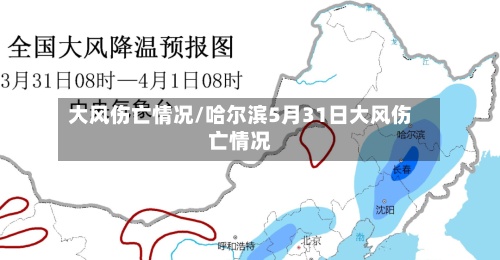 大风伤亡情况/哈尔滨5月31日大风伤亡情况