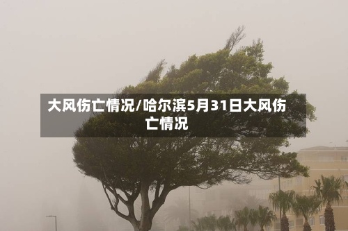 大风伤亡情况/哈尔滨5月31日大风伤亡情况-第2张图片