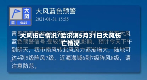 大风伤亡情况/哈尔滨5月31日大风伤亡情况-第3张图片