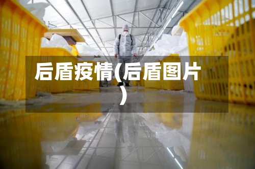 后盾疫情(后盾图片)-第2张图片