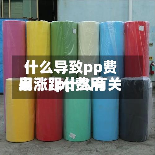 什么导致pp费用暴涨/pp费用上涨跟什么有关