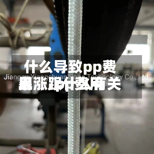 什么导致pp费用
暴涨/pp费用
上涨跟什么有关-第2张图片