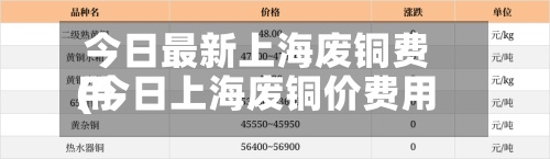 今日最新上海废铜费用
(今日上海废铜价费用
最新行情)