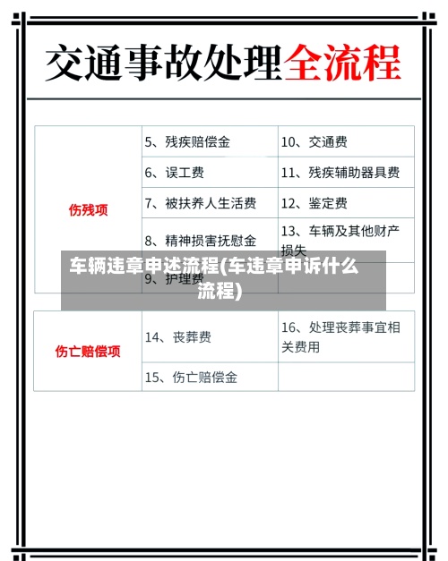 车辆违章申述流程(车违章申诉什么流程)