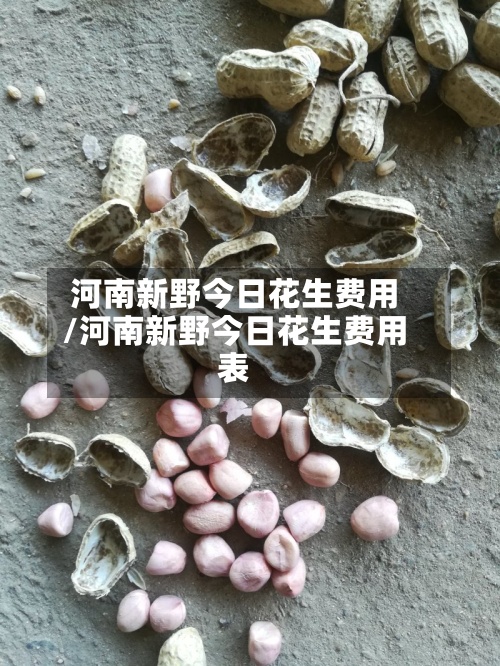 河南新野今日花生费用
/河南新野今日花生费用
表