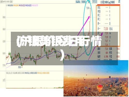 沪银美银费用
(沪银价今日行情)