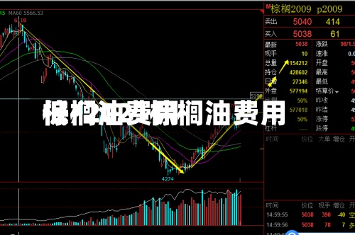 棕榈油费用
低/2021棕榈油费用