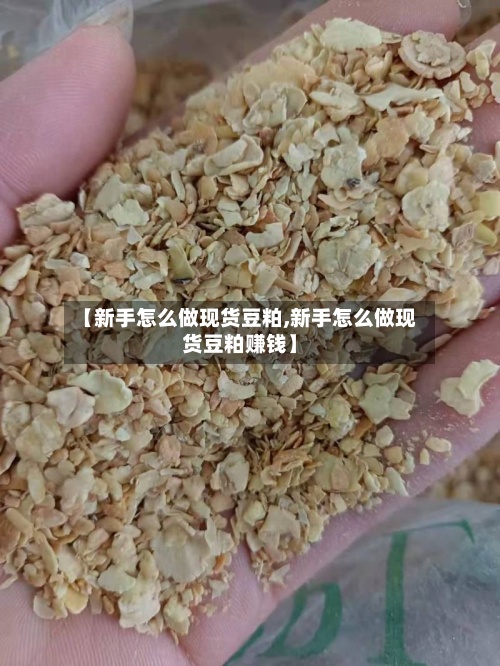 【新手怎么做现货豆粕,新手怎么做现货豆粕赚钱】-第3张图片