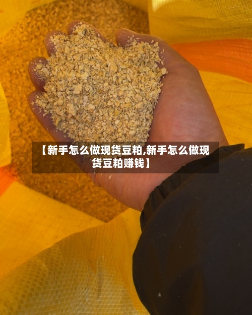 【新手怎么做现货豆粕,新手怎么做现货豆粕赚钱】
