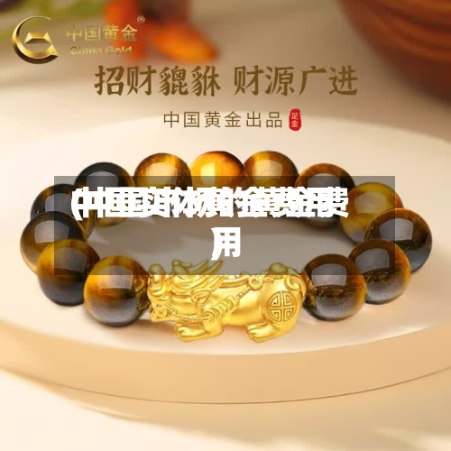 中国实体黄金费用
(中国市场的黄金费用
)