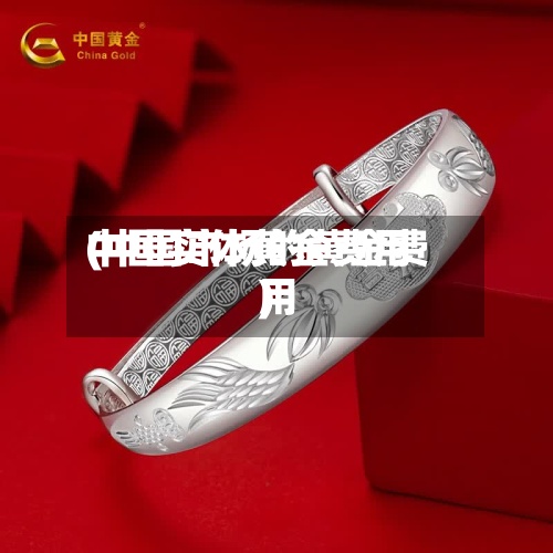 中国实体黄金费用
(中国市场的黄金费用
)-第2张图片
