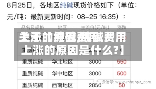 关于【纯碱费用上涨的原因,纯碱费用上涨的原因是什么?】-第3张图片