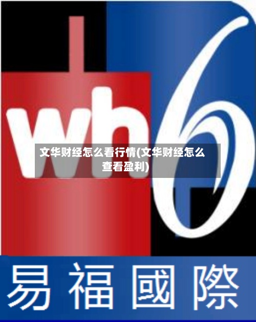 文华财经怎么看行情(文华财经怎么查看盈利)