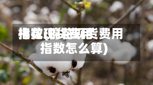 棉花现货费用指数(棉花现货费用指数怎么算)