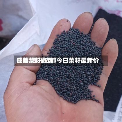 成都菜籽费用
行情/四川成都今日菜籽最新价-第2张图片