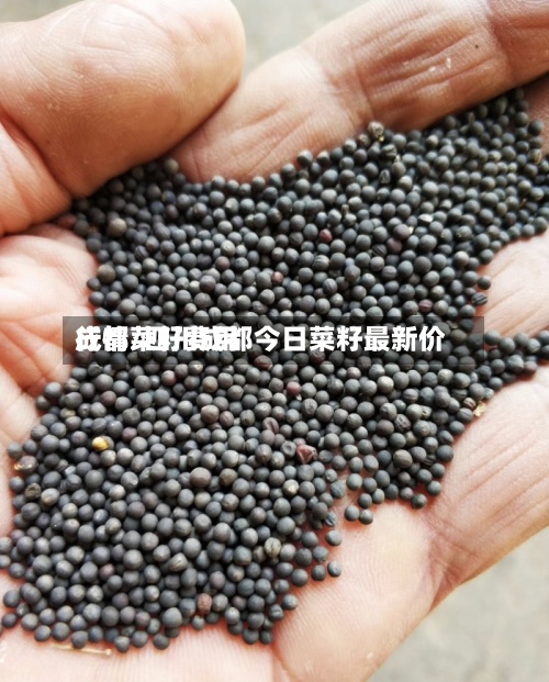 成都菜籽费用
行情/四川成都今日菜籽最新价-第3张图片