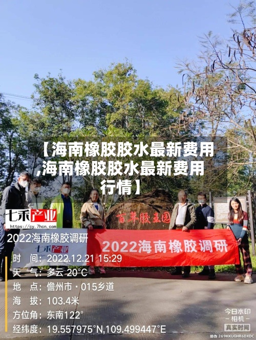 【海南橡胶胶水最新费用,海南橡胶胶水最新费用行情】