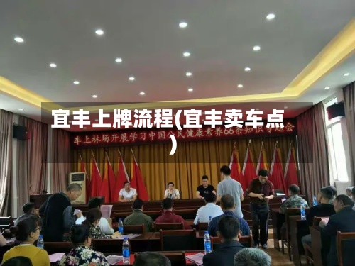 宜丰上牌流程(宜丰卖车点)