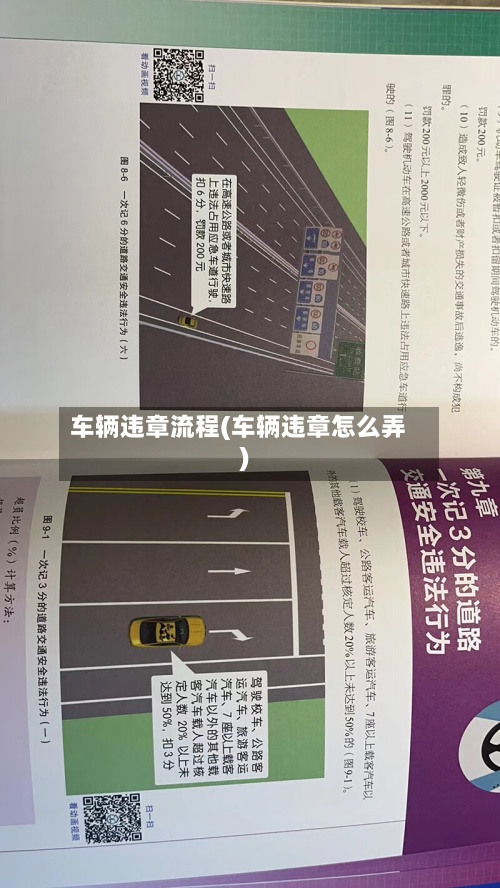车辆违章流程(车辆违章怎么弄)