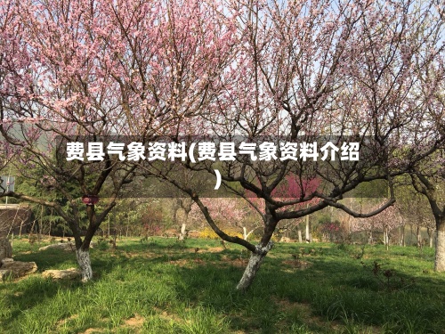 费县气象资料(费县气象资料介绍)-第2张图片
