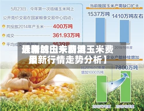 近来
【聊城玉米费用
最新的山东聊城玉米费用
最新行情走势分析】