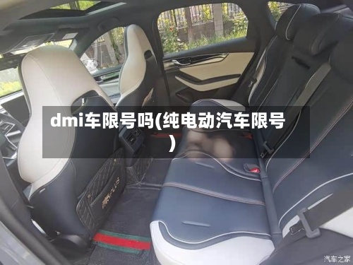 dmi车限号吗(纯电动汽车限号)-第2张图片