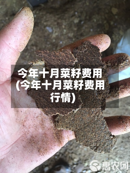今年十月菜籽费用
(今年十月菜籽费用
行情)