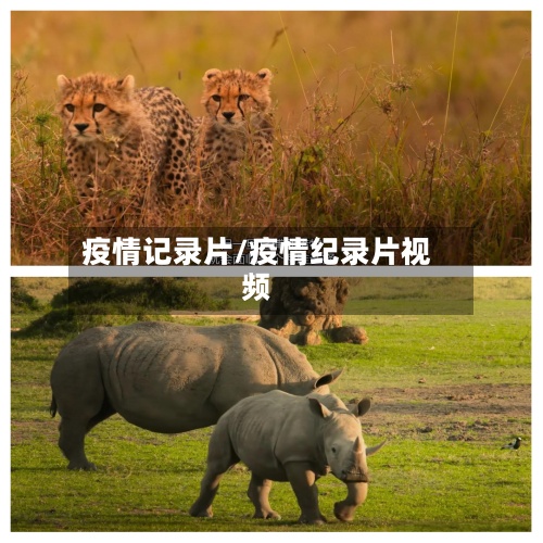 疫情记录片/疫情纪录片视频