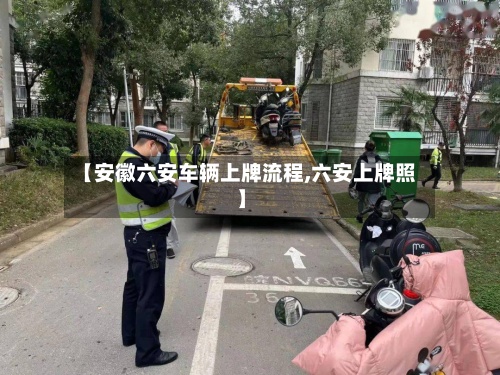 【安徽六安车辆上牌流程,六安上牌照】
